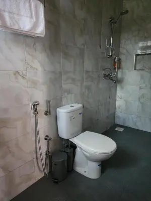 a bathroom with a toilet and a shower at Mimi Home in Arusha