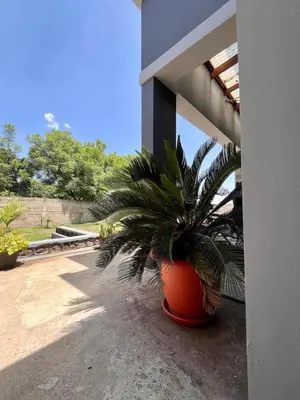 a plant in an orange pot on the side of a house at Abasimba House Arusha in Themi