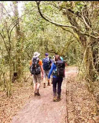 three people walking on a trail in the woods at Villa Jane in Arusha in Arusha