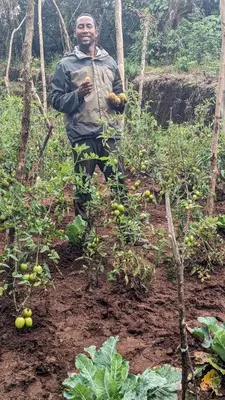 a man standing in a field of plants at Barangata collections in Barangata