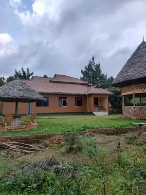 a house with a grass roof and a gazebo at Bright Michelle Homestay in Lushoto