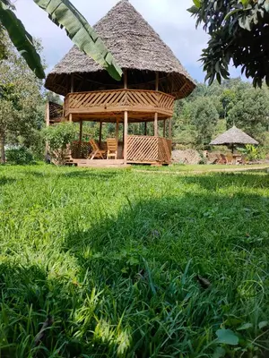 a gazebo with a thatched roof in a grass field at Bright Michelle Homestay in Lushoto