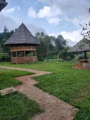 a path leading to a gazebo in a field at Bright Michelle Homestay in Lushoto