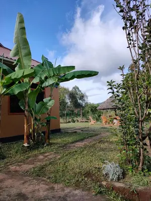 a dirt road next to a house with a banana tree at Bright Michelle Homestay in Lushoto
