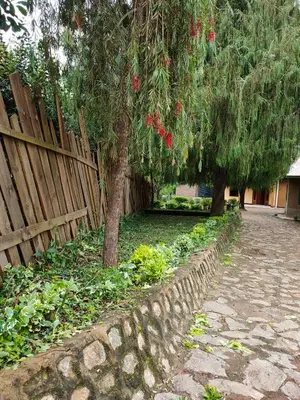 a fence and trees in a yard next to a sidewalk at Bright Michelle Homestay in Lushoto