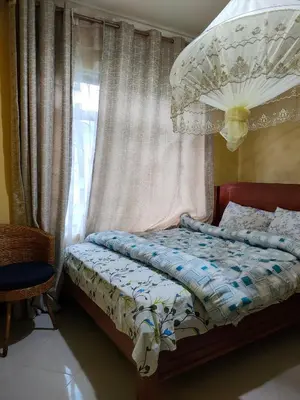 a bedroom with a bed with a canopy and a window at Bright Michelle Homestay in Lushoto
