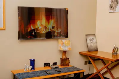 a tv hanging on a wall with a fireplace at Amellie's Home Safari in Nkunjila
