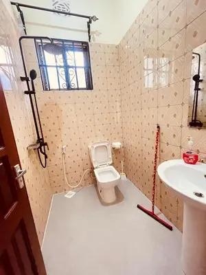 a bathroom with a toilet and a sink at D&G Homes Apartments in Arusha