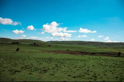 a field with green grass and a blue sky with clouds at Emanyatta Lodge in Monduli