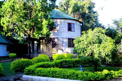 a house with a tree and bushes in front of it at Emanyatta Lodge in Monduli