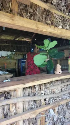 a woman standing behind a wooden shelf with a plant at Kidep Maasai Village in Moshi