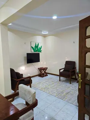 a living room with two chairs and a flat screen tv at 2 bedrooms cozy house in Arusha in Arusha