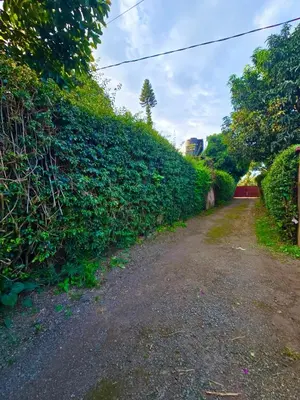 a dirt road next to a large green hedge at 2 bedrooms cozy house in Arusha in Arusha