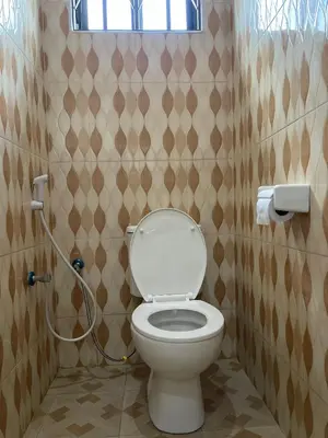 a bathroom with a toilet with a shower in it at R Kelly Tanzania in Arusha