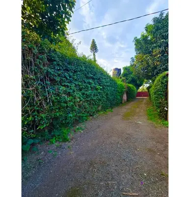 a dirt road next to a large hedge at A private bedroom in a shared home in Arusha in Arusha