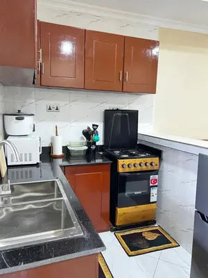 a kitchen with a stove and a sink at Hadraj Sokoine Apartment2 in Arusha