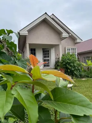a house with a bunch of leaves in front of it at Rejoice Evermore Homes in Arusha