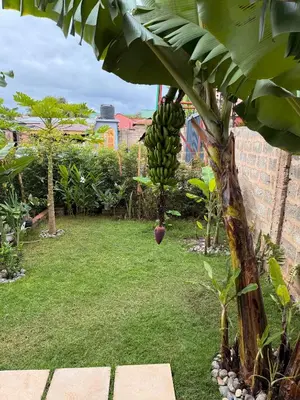 a banana tree with a bunch of bananas hanging from it at Baraka Home in Arusha
