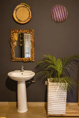 a bathroom with a sink and a mirror and a plant at Simba homes in Arusha