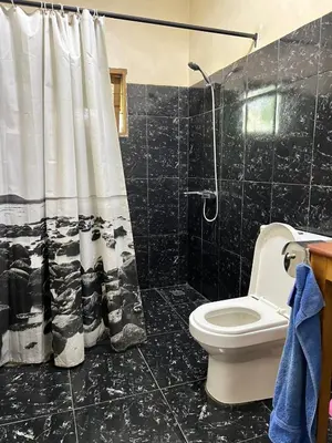 a bathroom with a shower curtain and a toilet at Nature's Haven Ilboru Hideaway in Arusha