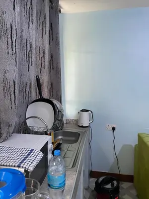 a kitchen counter with a sink and a microwave at MSF BACHELOR PAd in Arusha