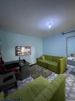 a living room with green furniture and a flat screen tv at MSF BACHELOR PAd in Arusha