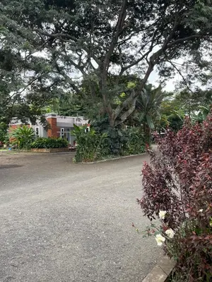 a parking lot with a tree and a house at Attorney Pad in Arusha