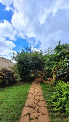 a stone path in a yard with trees and grass at Babylon Lodge in Marangu