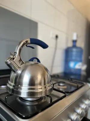 a tea kettle sitting on top of a stove at Tai Africa Apartment in Arusha
