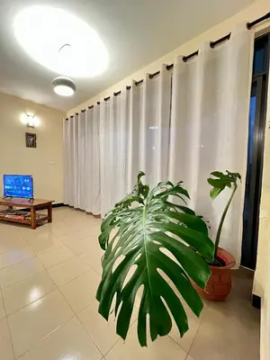 a plant in a living room with a window at Tai Africa Rooms in Arusha