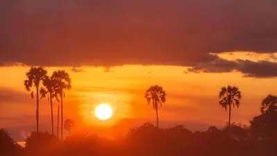 a sunset with palm trees in the foreground at Nyirenda Homestay Kilimanjaro in Moshi