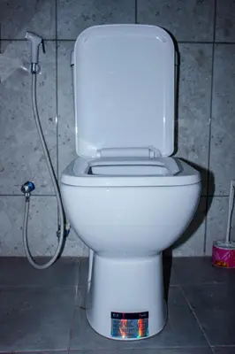 a white toilet in a bathroom with a hose at Avocado Kilimanjaro Homes in Marangu