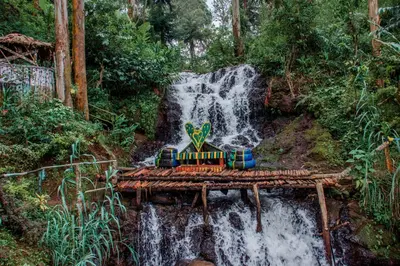 a train on a track in front of a waterfall at Avocado Kilimanjaro Homes in Marangu
