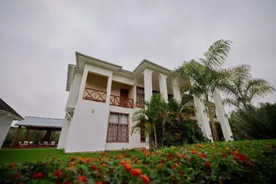 a white house with a palm tree and flowers at Arusha Farm House in Arusha