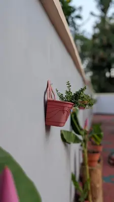 a plant holder on the side of a wall with a plant at Kilimanjaro Helichrysum Homes in Arusha