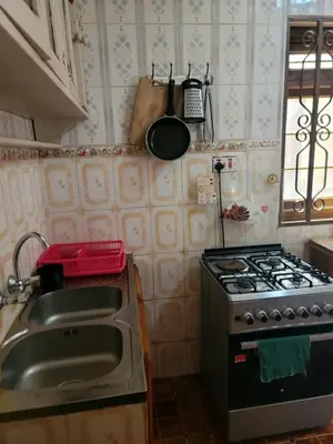 a small kitchen with a stove and a sink at Cape Haven in Arusha