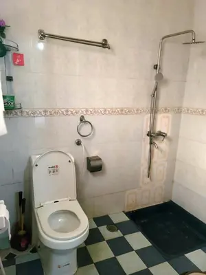 a bathroom with a toilet and a shower at Cape Haven in Arusha
