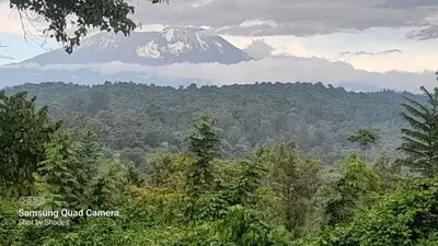 a mountain in the middle of a forest with trees at West Kilimantis in Bondeni Boloti