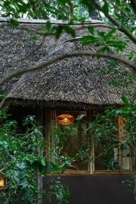 a building with a thatch roof and a chandelier at Koroi Forest Camp in Arusha