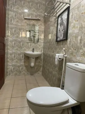 a bathroom with a toilet and a sink at Emmalanta Homes in Arusha