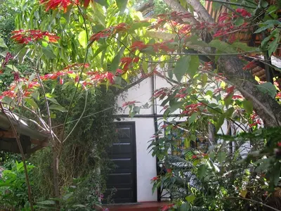 Gallery image of Banana Jungle Lodge in Moshi