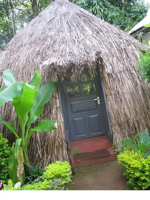 Gallery image of Banana Jungle Lodge in Moshi
