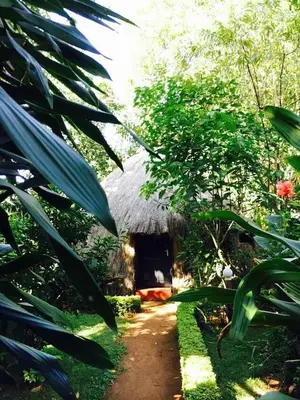 Gallery image of Banana Jungle Lodge in Moshi