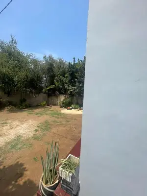 a view of a yard with a potted plant at Bantulaki House in Arusha