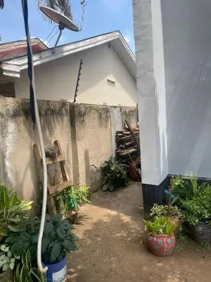 a backyard with plants and a building with a hose at Bantulaki House in Arusha