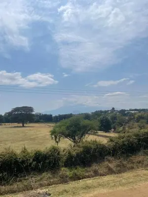 a field with a tree in the middle of a field at Bantulaki House in Arusha