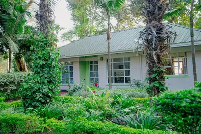 a house with palm trees in front of it at Protea House in Marombosa