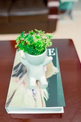 a plant in a white pot sitting on top of a book at Avek Home Stay Ngorongoro Room in Uru