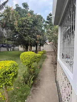 a sidewalk next to a house with bushes and trees at Arusha backpackers homes in Arusha