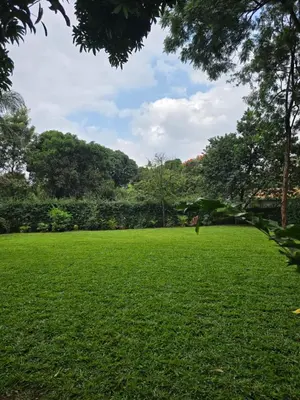 a field of green grass with trees in the background at Sprunger Retreat - tulia homes in Moshi
